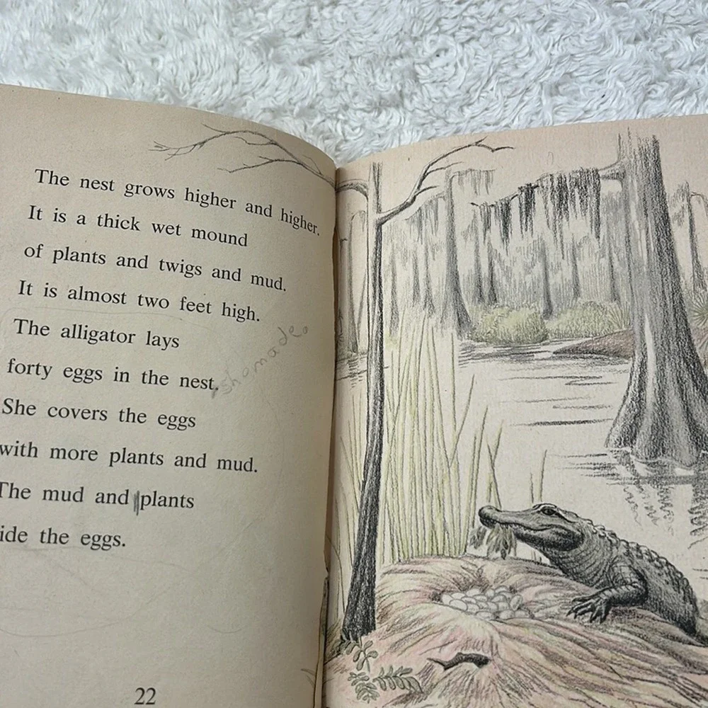 Vintage 60s 70s Softcover Chapter Book lot - bundle of 6